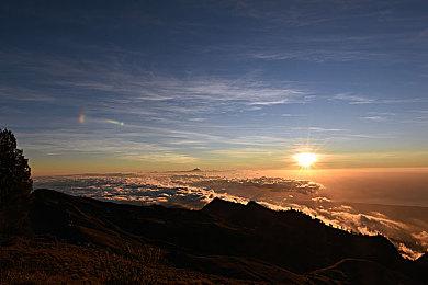 众筹作品《珊瑚岛》承诺NS版却始终未见 厂商出面解释